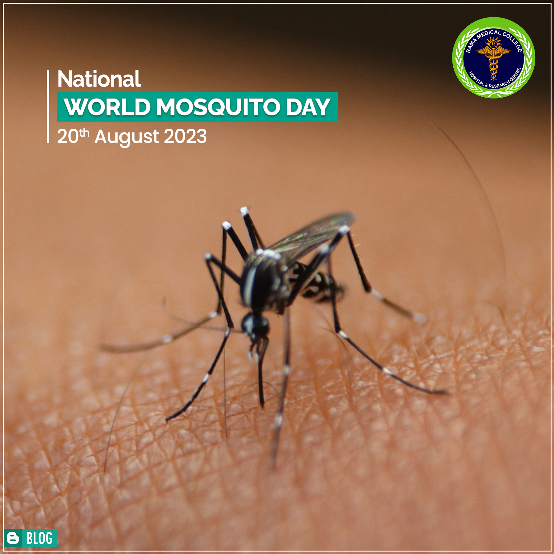 World Mosquito Day: Battling the Buzz of Disease